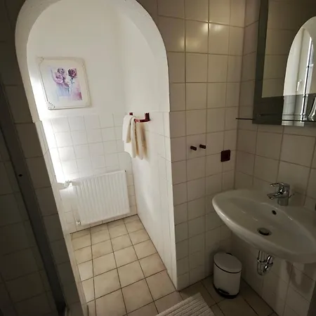 Sarah 3* 바트두르하임